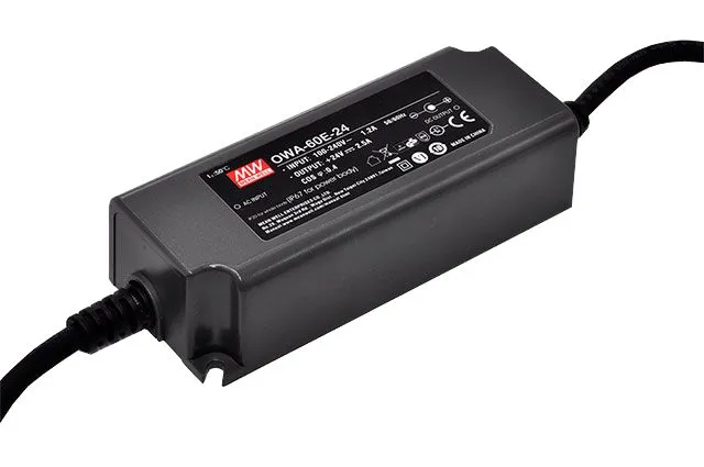 Adattatore AC/DC MEAN WELL 20V cc, 3A, spina Connettore maschio a 2 pin