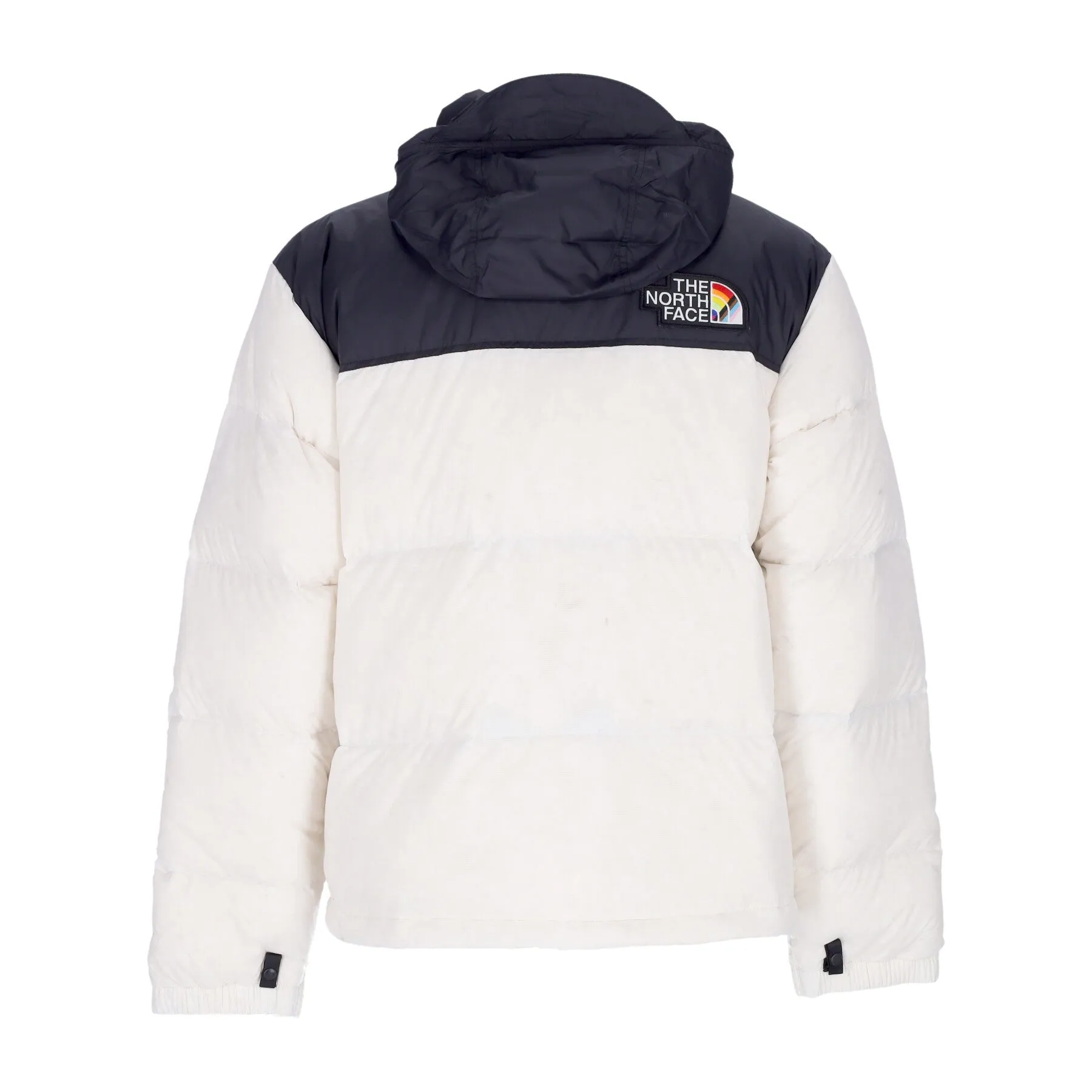 Piumino Uomo 1996 Retro Nuptse Pride Jacket Gardenia White