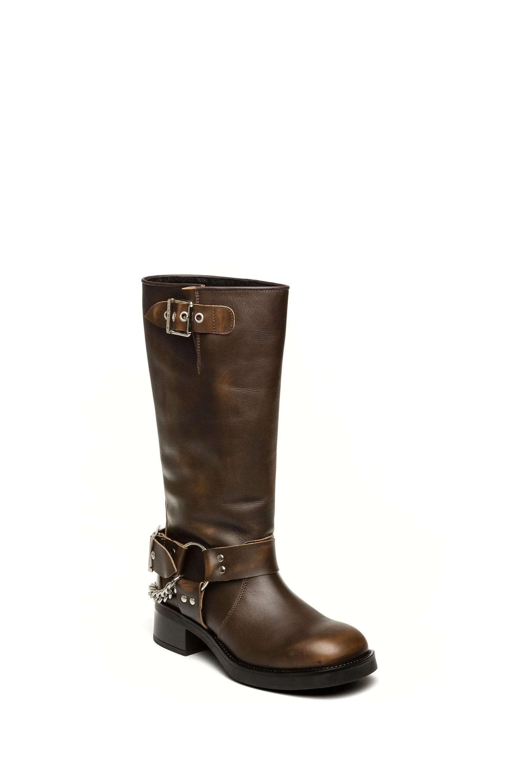 Steve Madden - Marrone Beau-C - Stivali
