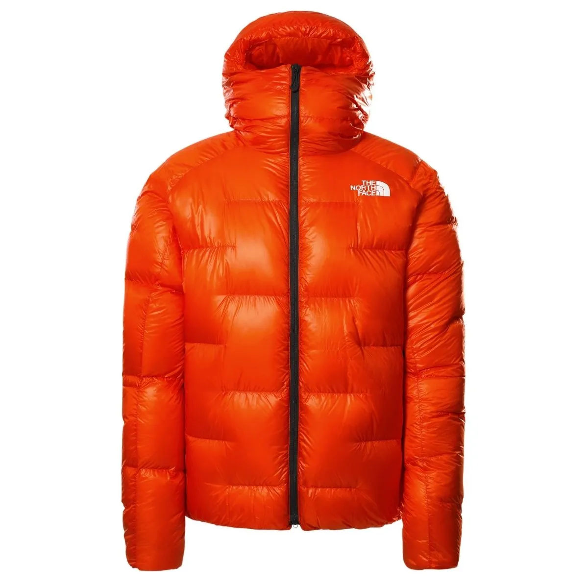THE NORTH FACE Summit L6 Cloud Down Parka Uomo
